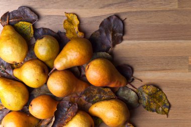 Kurutulmuş yaprakları ile sulu olgun armut