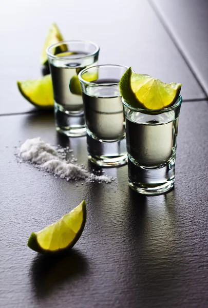 Tequila, lima y sal — Foto de Stock
