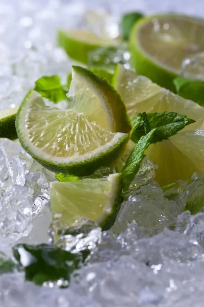Lime and peppermint — Stock Photo, Image