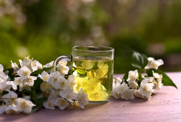 Jasmine tea in garden — Stock Photo, Image