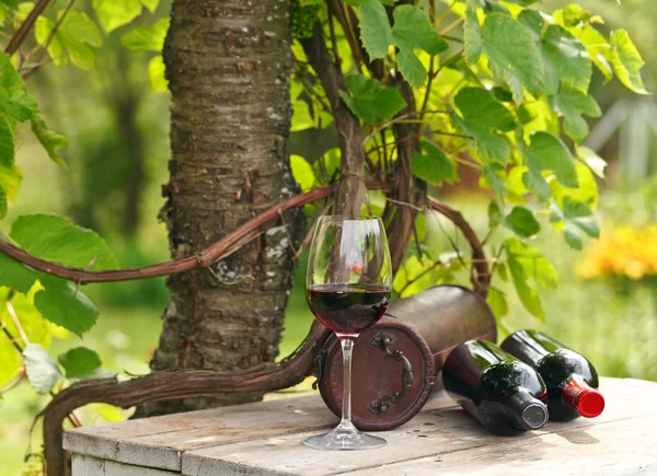 Flessen en glas met rode wijn — Stockfoto