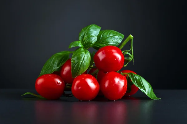 Tomates con albahaca verde — Foto de Stock