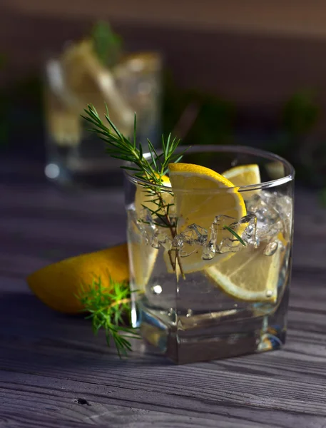 Джин с лимоном и льдом — стоковое фото