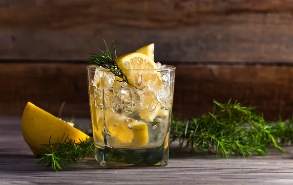 Gin mit Zitrone und Wacholderzweig — Stockfoto