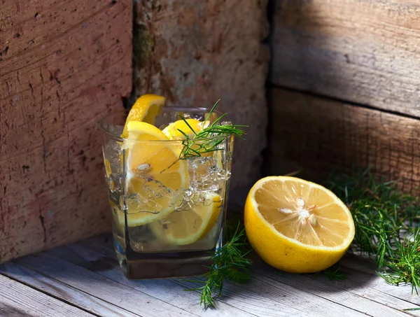 Gin z cytryny i jałowca gałązka — Zdjęcie stockowe