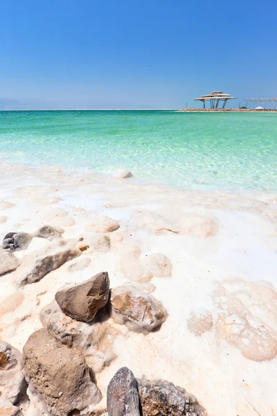 Riva del Mar Morto — Foto Stock