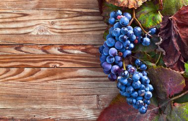  ahşap masa mavi üzüm