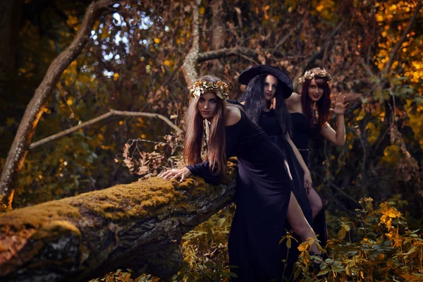 Three witches in a dark forest — Stock Photo, Image