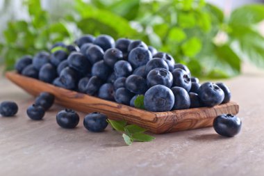 ahşap tabak içinde yeşil yaprakları ile yaban mersini 