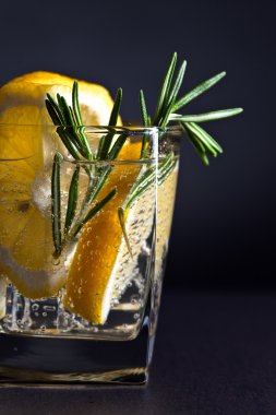 tonik, limon ve biberiye ile alkollü içki 