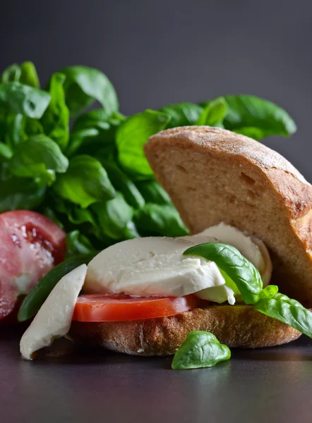 Smörgås med mozzarella, tomat och basilika — Stockfoto