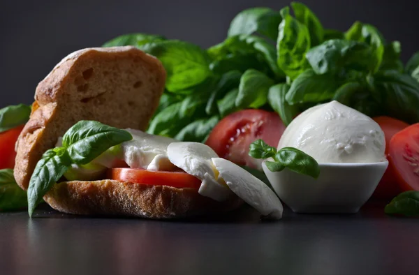 Sandwich with mozzarella, tomato and basil — Stock Photo, Image