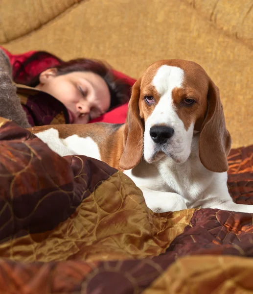 Chien dort sur le lit avec la maîtresse — Photo