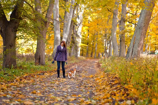 Frau mit Hund im Herbstpark — Stockfoto