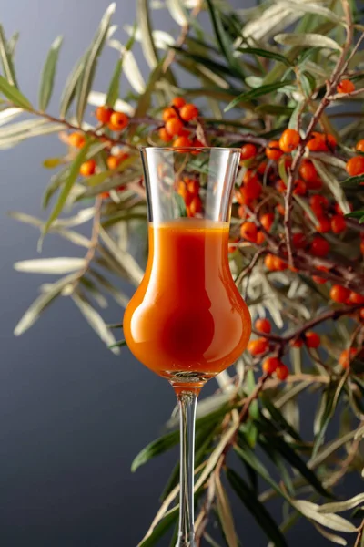 Segelas Jus Vitamin Buckthorn Laut Dengan Buckthorn Berry Laut Segar — Stok Foto