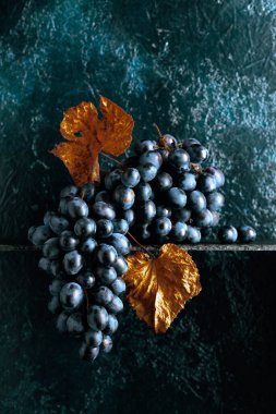 Eski koyu mavi arka planda kurumuş asma yapraklı mavi üzümler. Boşluğu kopyala.
