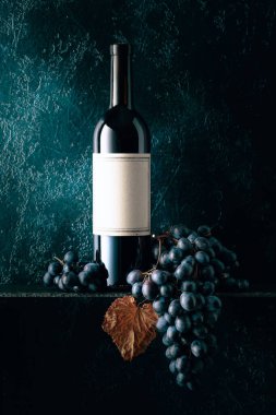 Eski etiketli bir şişe kırmızı şarap. Kırmızı şarap ve eski koyu mavi arka planda kurumuş asma yapraklı mavi üzümler. Boşluğu kopyala.