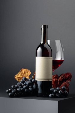 Kırmızı şarap ve koyu arkaplanda kurumuş asma yapraklı mavi üzümler. Eski boş bir şişede. Boşluğu kopyala.