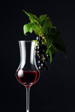 Bir bardak kuşüzümü likörü veya şurup. Tatlı içecek ve dallı yapraklar ve koyu arkaplanda olgun meyveler.. 
