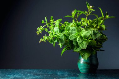 Koyu arkaplanda eski bir seramik kapta bir demet taze nane. Boşluğu kopyala.