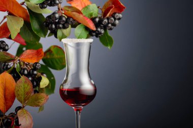 Meyve suyu ve şuruplu siyah boğaz (aronia melanocarpa). Koyu arkaplanda yaprakları olan taze meyveler. Boşluğu kopyala.