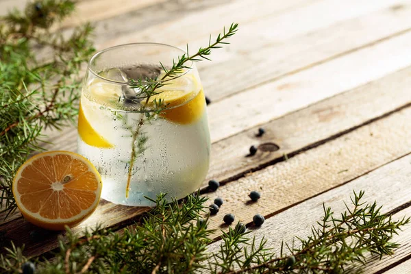 Alkoholgetränk Gin Tonic Cocktail Mit Zitrone Wacholderzweig Und Eis Auf — Stockfoto