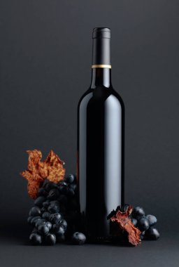 Bir şişe kırmızı şarap ve koyu arkaplanda kurumuş asma yapraklı mavi üzüm. Boşluğu kopyala.