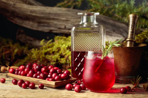 Cranberry Cocktail Dengan Alami Dan Rosemary Kaca Beku Lumut Latar — Stok Foto