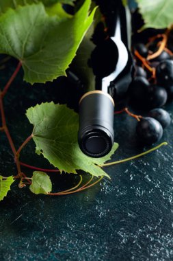 Eski mavi bir masada işlenmemiş kırmızı şarap şişesi, asma dalı ve olgun üzümler. Boşluğu kopyala.