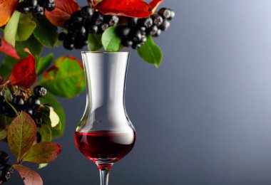 Meyve suyu ve şuruplu siyah boğaz (aronia melanocarpa). Koyu arkaplanda yaprakları olan taze meyveler. Boşluğu kopyala.