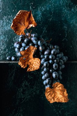 Eski koyu mavi arka planda kurumuş asma yapraklı mavi üzümler. Boşluğu kopyala.