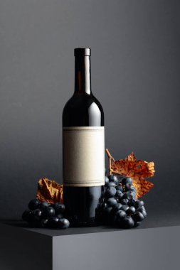 Bir şişe kırmızı şarap ve koyu arkaplanda kurumuş asma yapraklı mavi üzüm. Eski boş bir şişede.