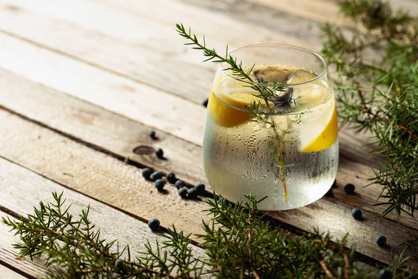 Alkoholgetränk Gin Tonic Cocktail Mit Zitrone Wacholderzweig Und Eis Auf — Stockfoto