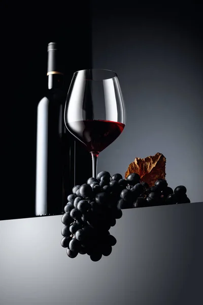 Rotwein Und Blaue Trauben Mit Vertrockneten Weinblättern Vor Dunklem Hintergrund — Stockfoto