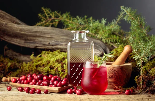 Cranberry Cocktail Dengan Alami Dan Rosemary Kaca Beku Lumut Latar — Stok Foto