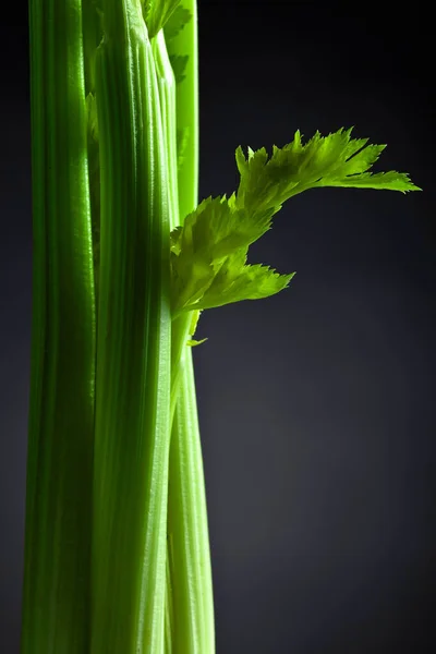 Fresh Celery Sticks Dark Background — Stock Photo, Image