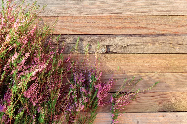 Blommande Rosa Ljung Calluna Vulgaris Rustik Trä Bakgrund Overhead View — Stockfoto