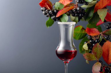 Meyve suyu ve şuruplu siyah boğaz (aronia melanocarpa). Koyu arkaplanda yaprakları olan taze meyveler. Boşluğu kopyala.