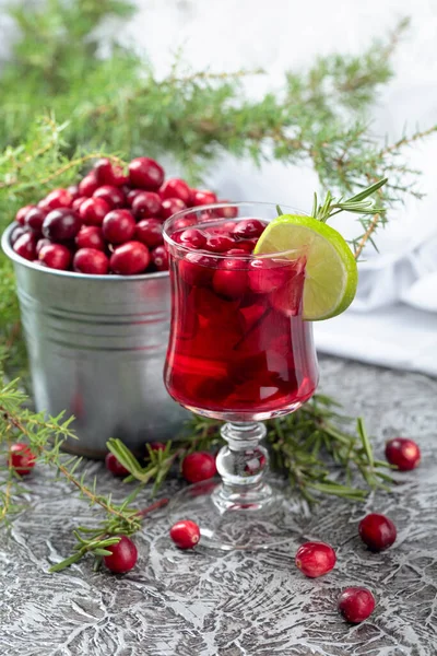 Segelas Cranberry Dengan Buah Beri Jeruk Nipis Dan Rosemary Salin — Stok Foto