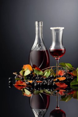 Meyve suyu ve şuruplu siyah boğaz (aronia melanocarpa). Siyah arka planda yaprakları olan taze meyveler. Boşluğu kopyala.