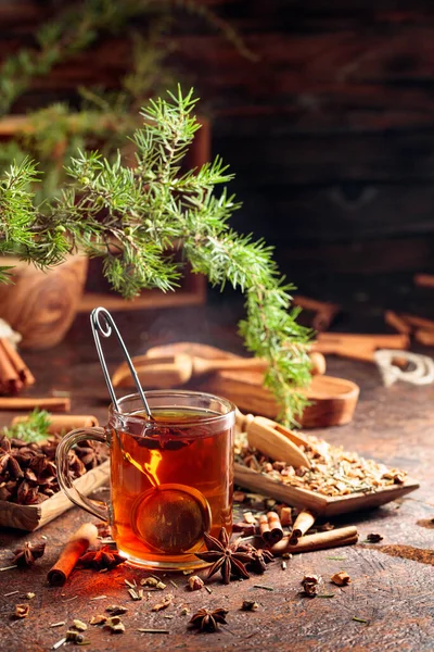 Vánoční Bylinkový Čaj Skořicí Anýzem Sušenými Bylinkami Bylinkový Čaj Jalovcovou — Stock fotografie