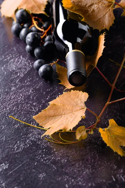 Garrafa Vinho Tinto Fechado Galho Videira Uvas Uma Velha Mesa — Fotografia de Stock