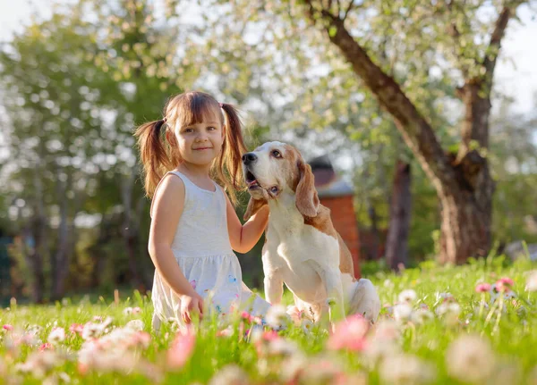 Niña Feliz Jugando Con Perro Jardín Niña Cuatro Años Día —  Fotos de Stock
