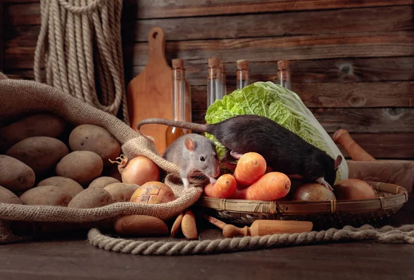 Råtta Ett Gammalt Träbord Med Grönsaker Och Köksredskap — Stockfoto