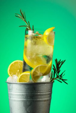 Buzlu, buzlu, limonlu ve biberiyeli cin tonik kokteyl..