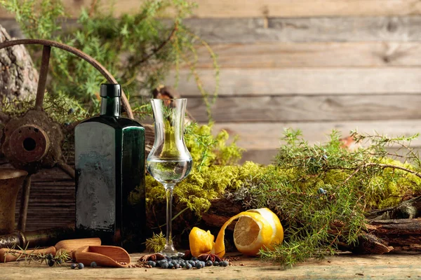 Gin Dans Petit Verre Une Bouteille Antique Verre Foncé Anis — Photo