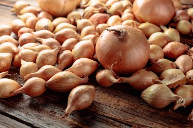 Eski ahşap bir masada soğan. Seçici odak.