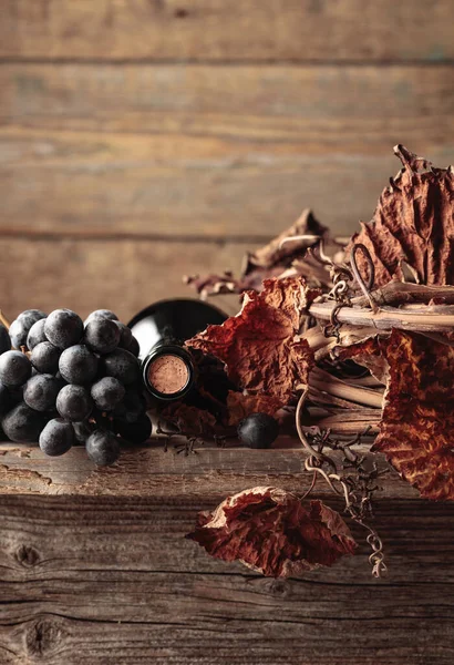 Eine Flasche Rotwein Mit Trauben Und Getrockneten Rebstöcken Auf Einem — Stockfoto