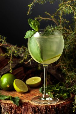 Limonlu ve naneli cin ve tonik kokteyli. Donmuş bardakta soğuk, ferahlatıcı bir içecek..