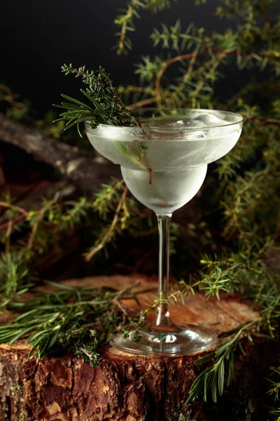 Gin Och Tonisk Cocktail Med Rosmarin Och Timjan Kall Iskall — Stockfoto